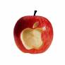 apple apple 1