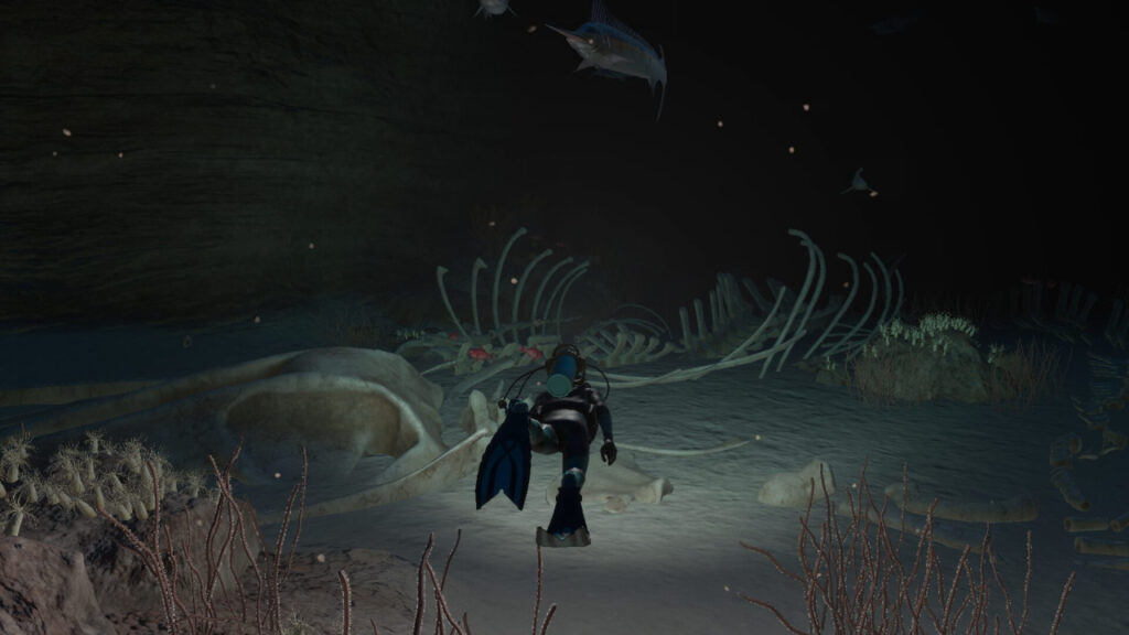Nintendo lance Endless Ocean Luminous, plongez dans l'aventure aquatique! Nintendo lance Endless Ocean Luminous, plongez dans l'aventure aquatique!