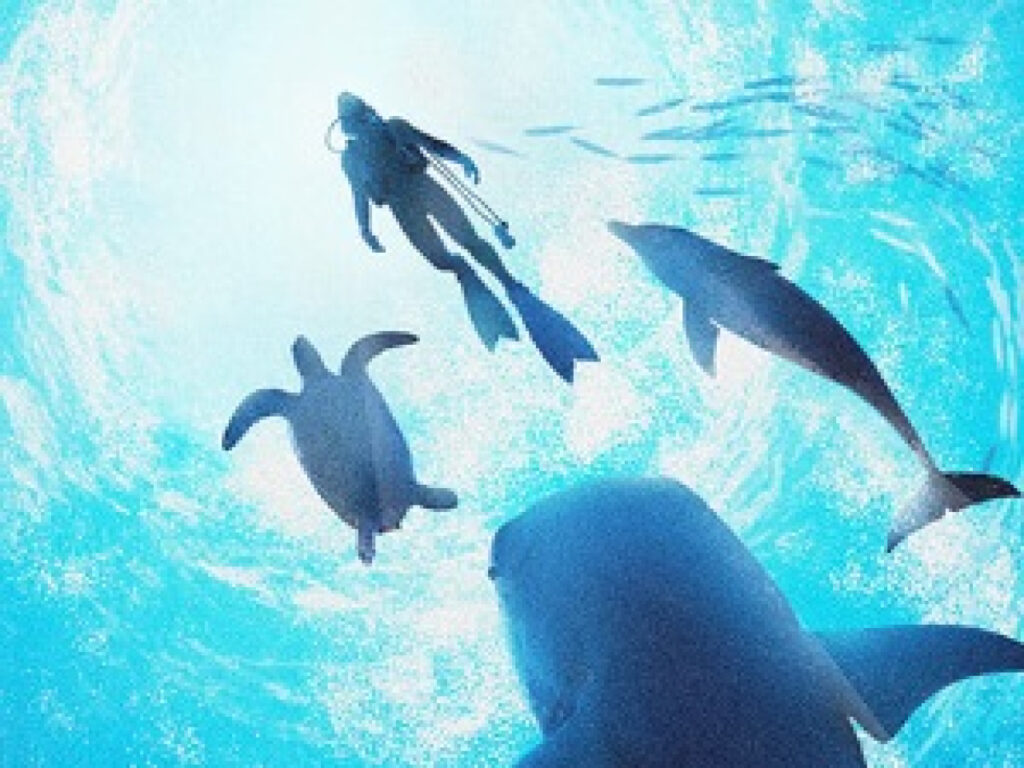 Nintendo lance Endless Ocean Luminous, plongez dans l'aventure aquatique! Nintendo lance Endless Ocean Luminous, plongez dans l'aventure aquatique!