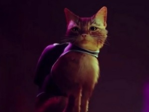 Stray arrive dans le ps plus essential de novembre