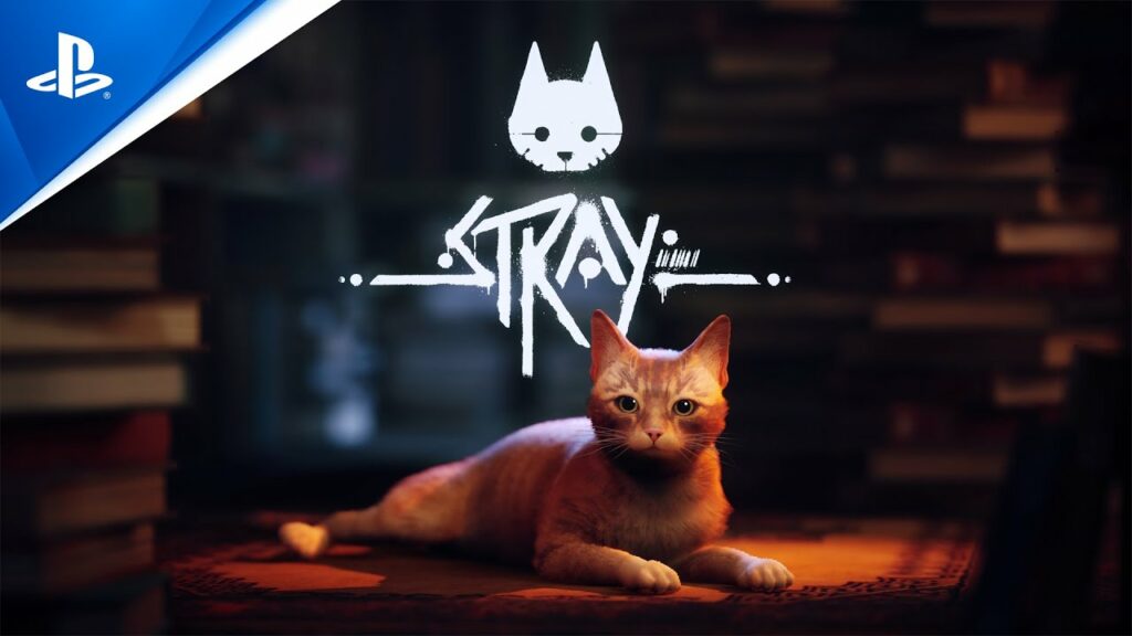 Stray arrive dans le ps plus essential de novembre