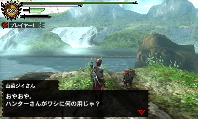 24 images pour Monster Hunter 4 (Nintendo 3DS)