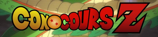 Concours Dragon Ball - Les résultats !