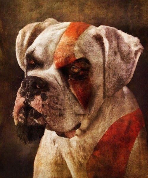 Le chien de Kratos !