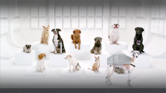 Nouvelle pub Volkswagen Star wars avec des chiens