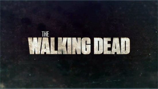 The Walking Dead S03E03 - Walk With Me